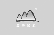 天然氣旋進旋渦流量計